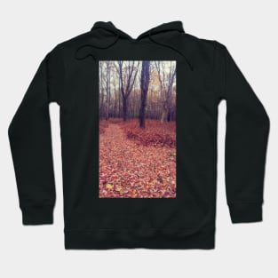 Autumn Wonderland Hoodie